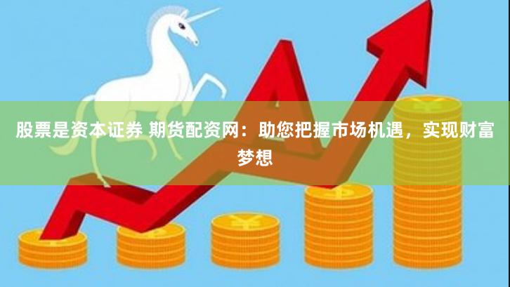 股票是资本证券 期货配资网：助您把握市场机遇，实现财富梦想